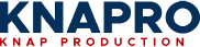 Primary Raster logo