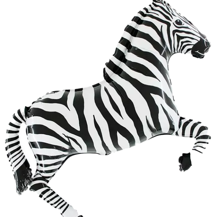 Zebra - 